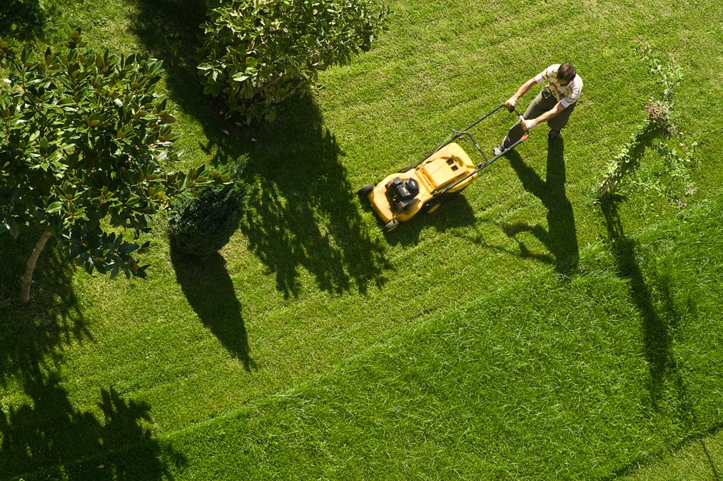 Knipperen Presentator Simuleren De beste grasmaaier voor jouw gazon - Tips & Adviezen - Toppy