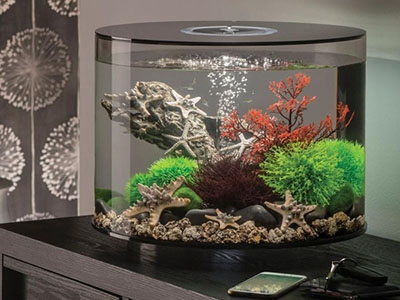 Blazen controller Eeuwigdurend BiOrb aquarium, de modellen op een rijtje - Tips & Adviezen - Toppy