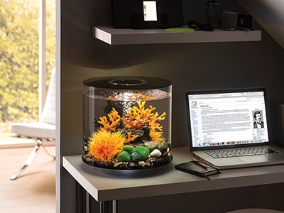 biOrb 72443 LED-accessoires | aquaria | verlichting | decoratie