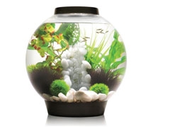 BiOrb Aquariums