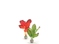 Decoratie