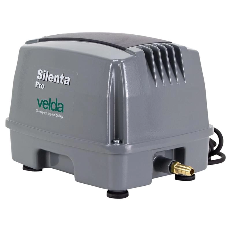 Lampadina Standard Per Auto E Moto - Qualit&agrave; Tedesca, Certificata ECE