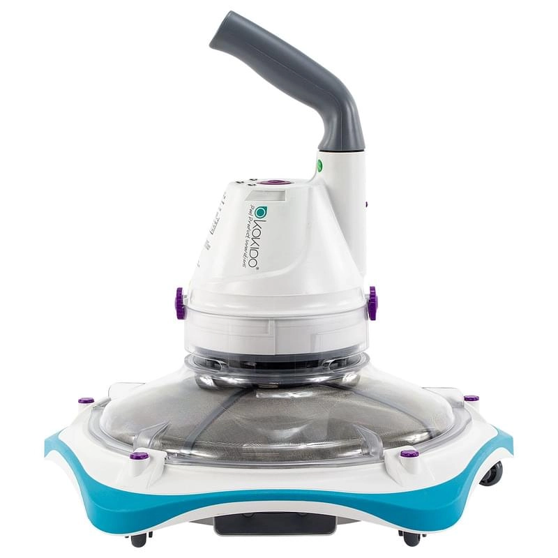 enzymatic pee cleaner