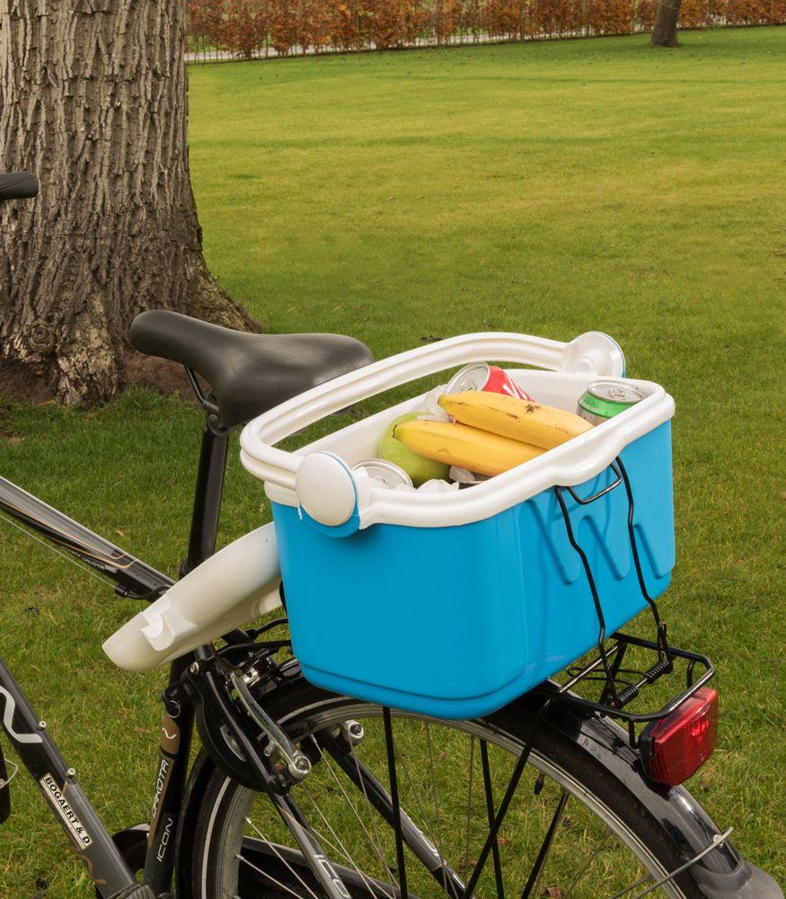 Curver passieve koelbox - 10L