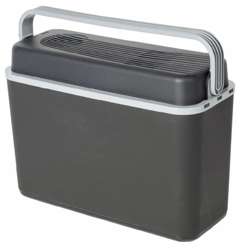 TZS First Austria - Koelbox 45L elektrisch 12V 230V aansluiting voor auto & stekkerdoos - Thermo-elektrische Cool Box koelt & warmt - Minikoelkast met wielen - Voor kamperen, festivals, reizen - Grijs
