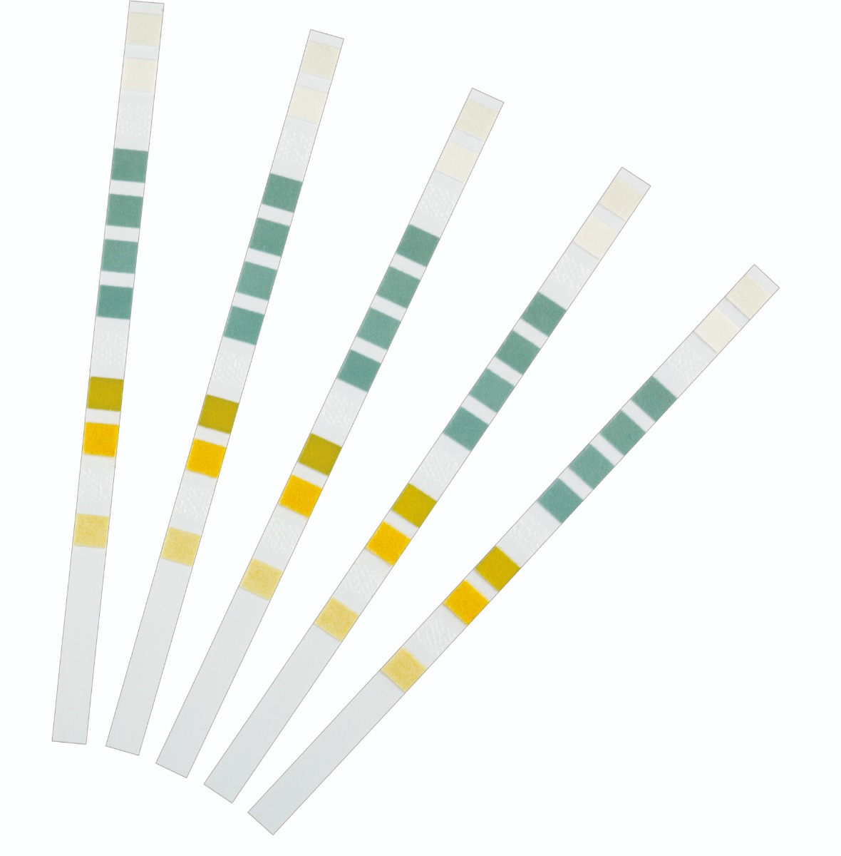 AquaActiv Quicksticks 6 in 1 Teststrips