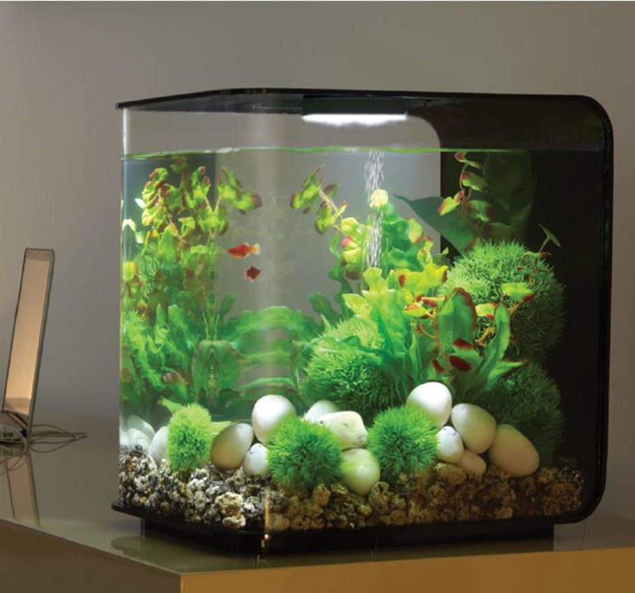 Decoratiepakket Biorb Flow 30 - Groen / Wit