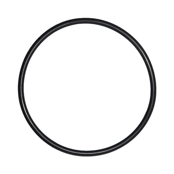 O-Ring voor deksel Zodiac FloPro zwembadpomp