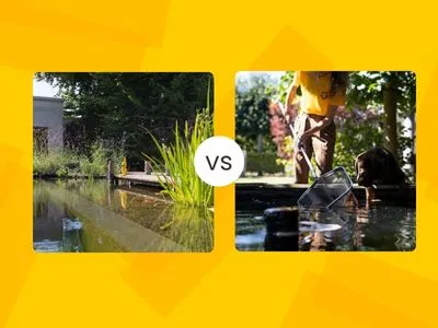 zwemvijver-vs-vijver