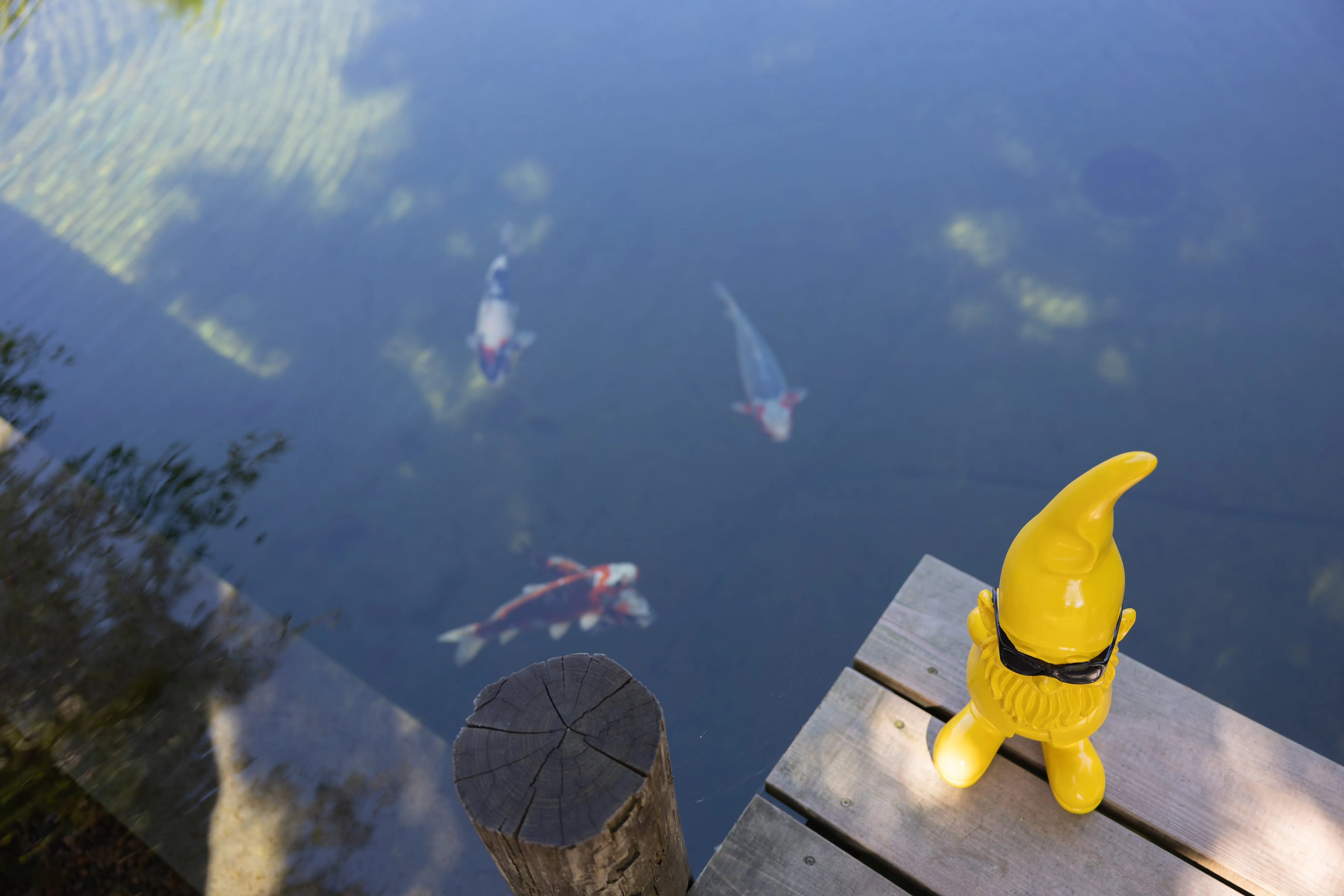 zwemvijver-fotoshoot2
