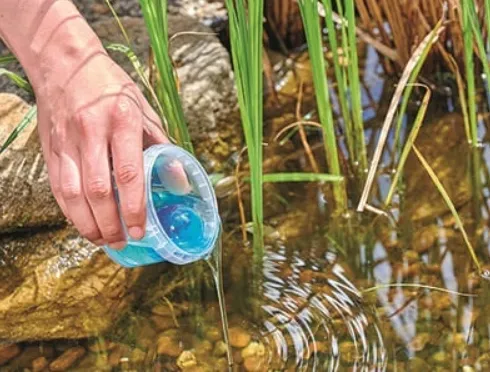 Vijverbacteriën advies