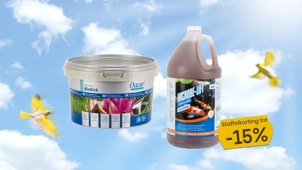 Staffelkorting op vijverbacteriën