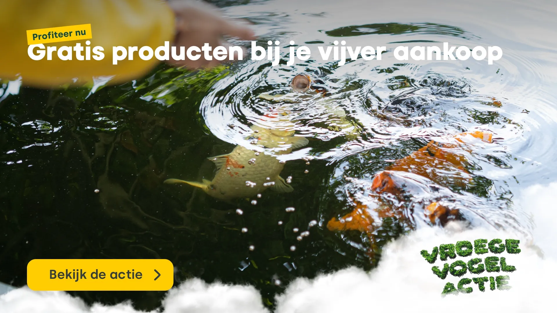 Vroege Vogel Zwembad Special - Gratis product bij je zwembad aankoop