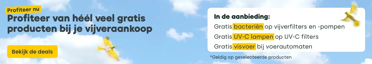 Vroege Vogel Zwembad Special - Gratis plonspolis bij zwembadrobot