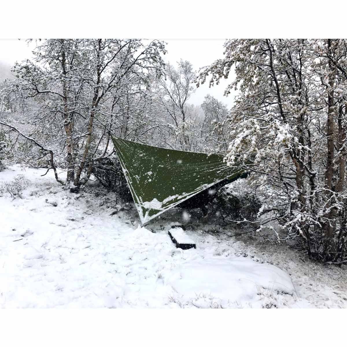 Ticket to the Moon tarp green