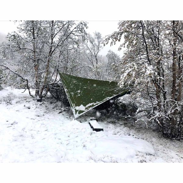 Ticket to the Moon tarp green