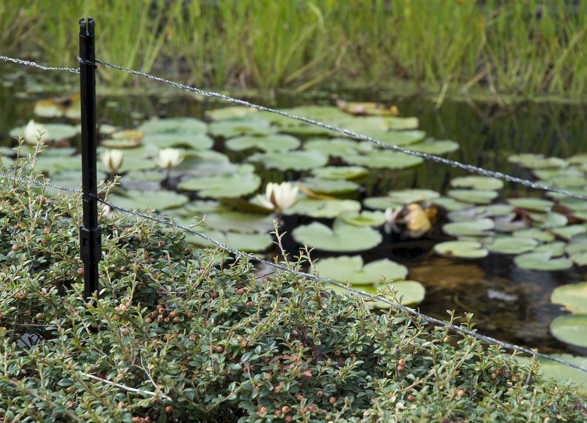 Velda Ultra Protector reigerverjager sfeer