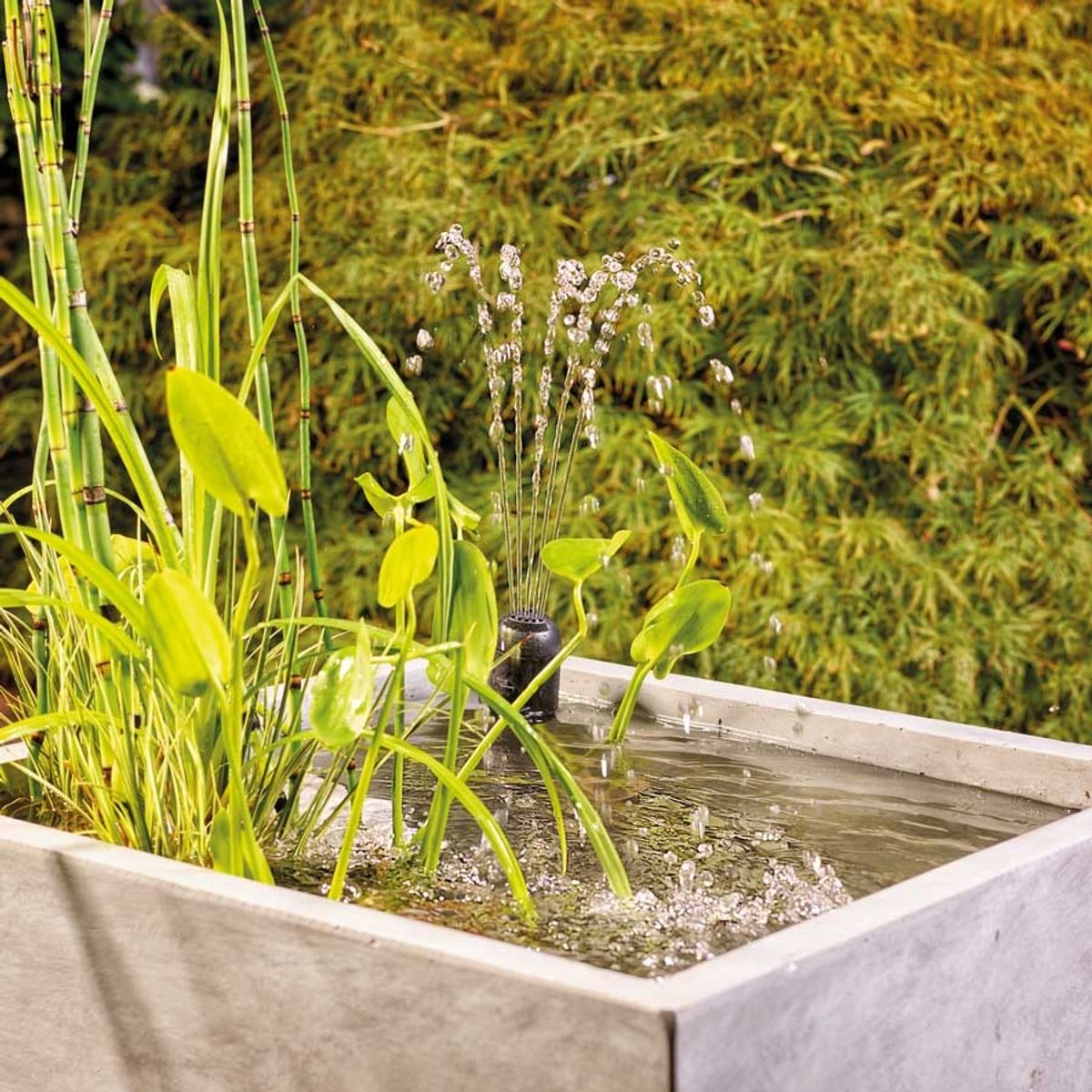 Oase Filtral UVC 1500 vijverfilter in bak