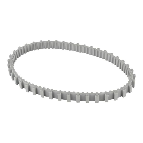 Dolphin aandrijfriem voor Moby