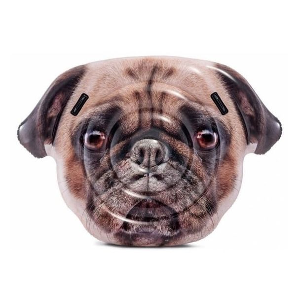 Intex opblaasbare hond (173 cm)