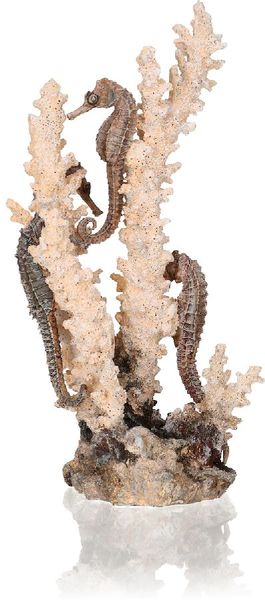 biOrb Zeepaardjes op naturel koraal M