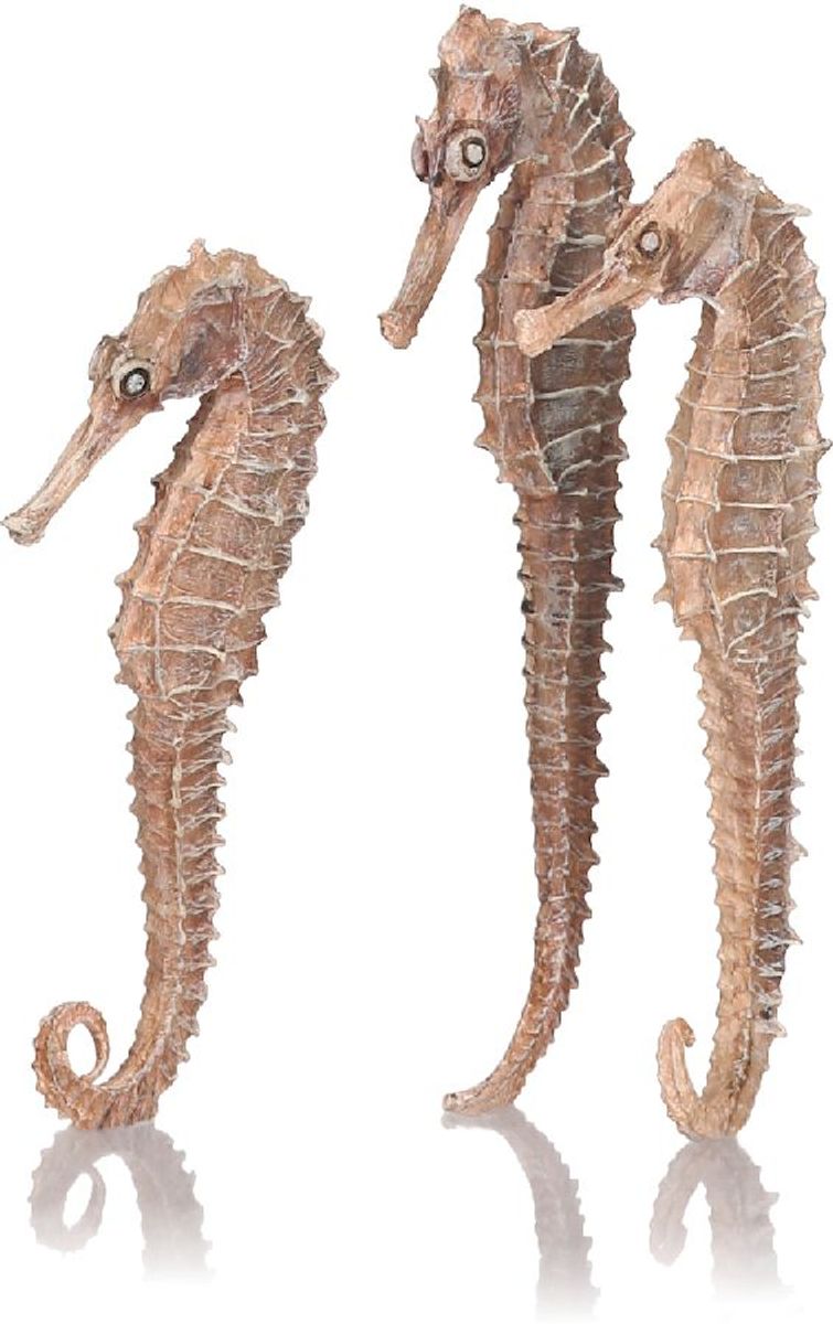 biOrb Zeepaardjes set van 3 naturel