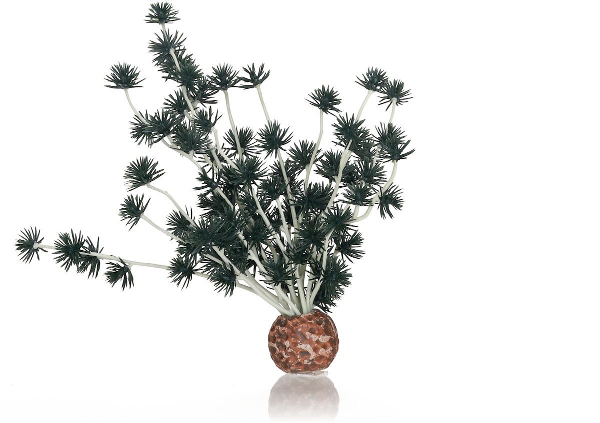 biOrb Bonsai bal zwart