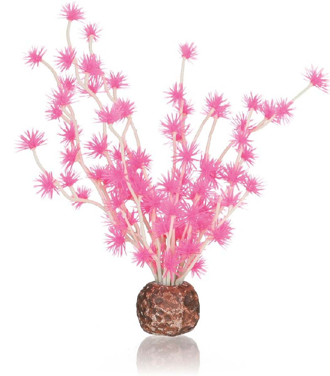 biOrb Bonsai bal roze
