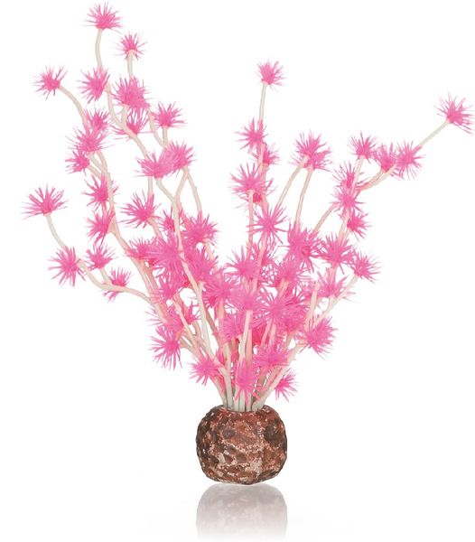 biOrb Bonsai bal roze