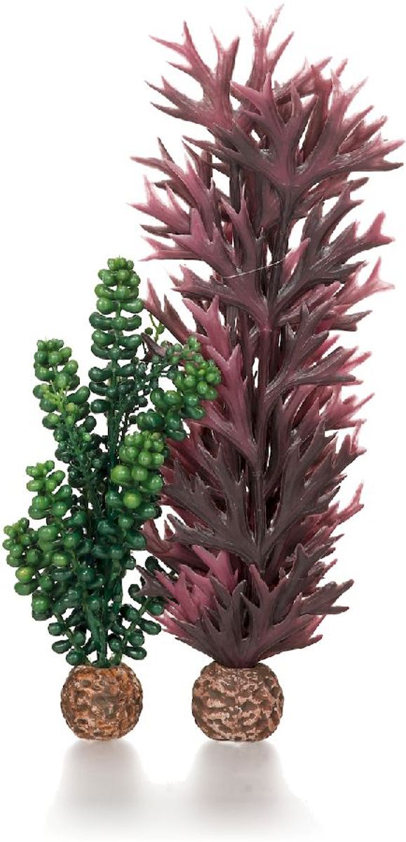 biOrb Zeeparels en kelp olijfgroen M