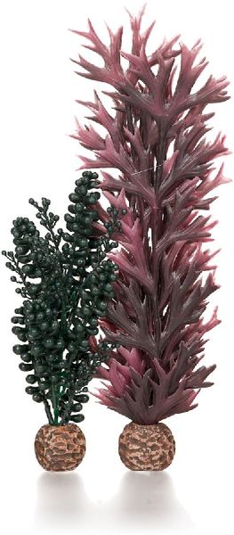 biOrb Zeeparels en kelp donkergroen S