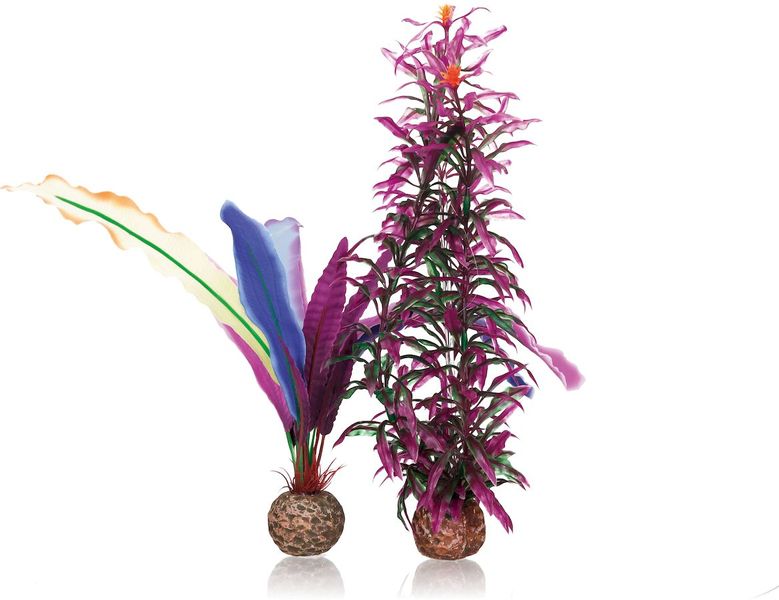 biOrb Papegaaienveren S