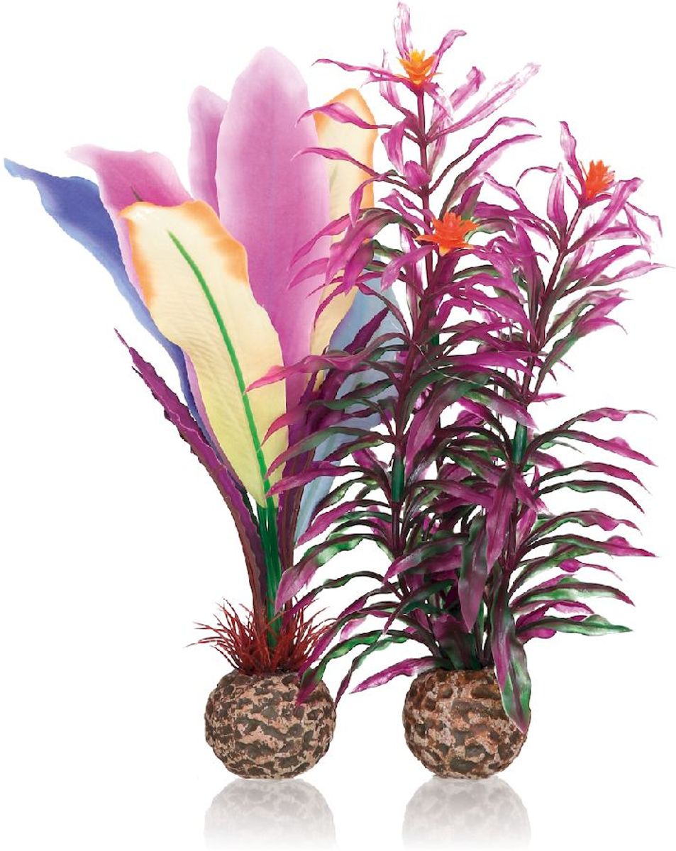 biOrb Papegaaienveren M