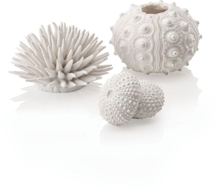 biOrb Zee-egel set wit