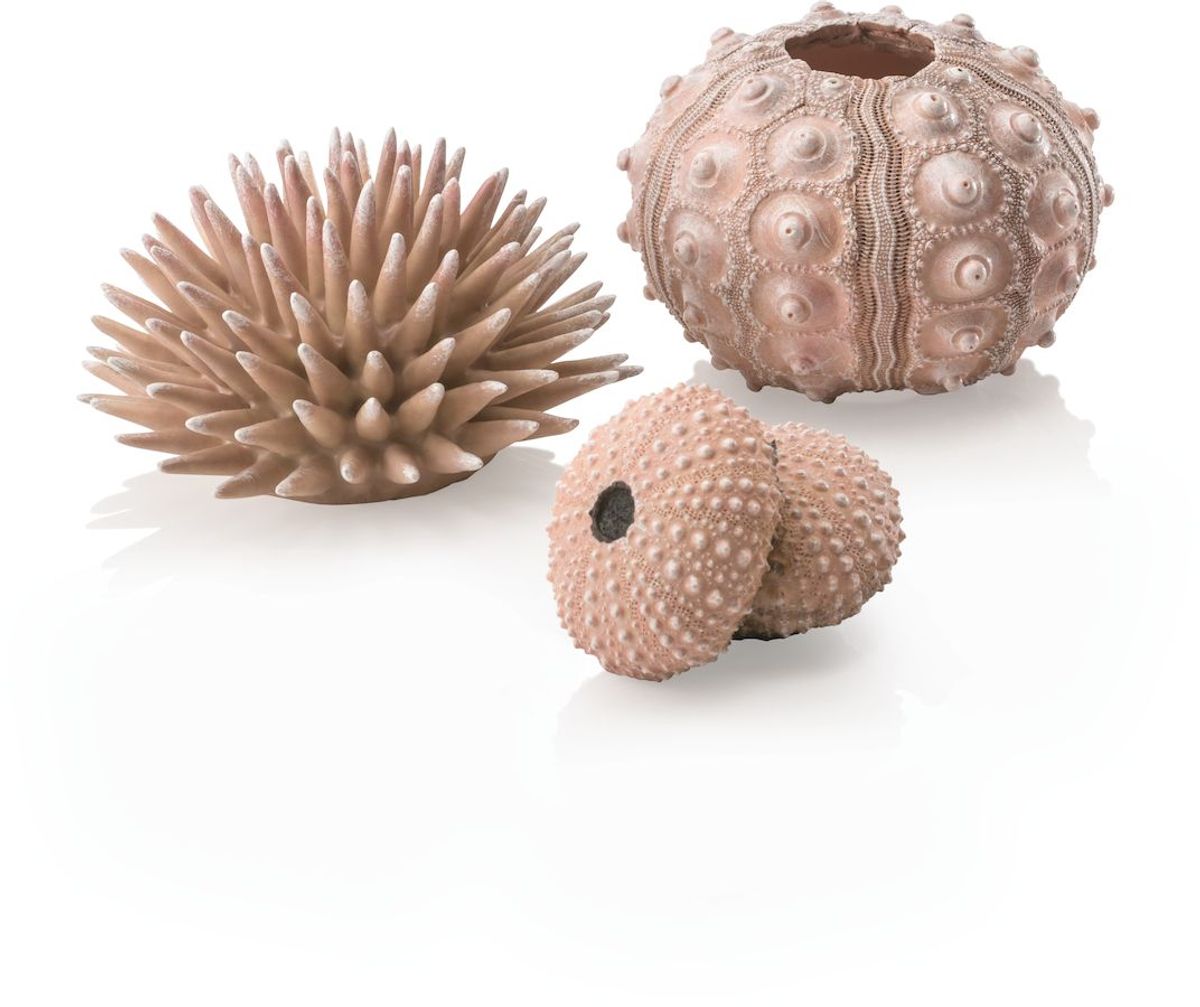 biOrb Zee-egel set naturel