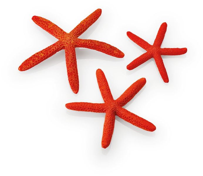 biOrb Zeester set van 3 rood