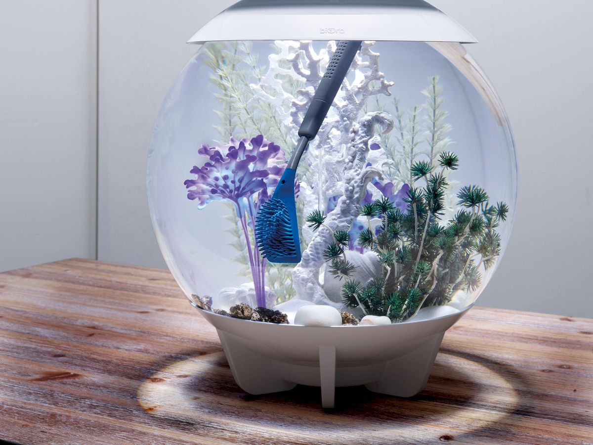 biOrb Multi-Reiniger - blauw wand schoonmaken