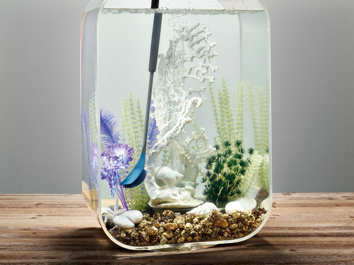 biOrb Multi-Reiniger - blauw in aquarium