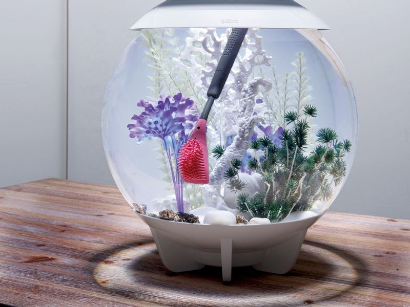 biOrb Multi-Reiniger - roze wand schoonmaken