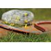Gardena Comfort Flex 50 meter (Ø 13 mm) tuinslang in gebruik