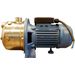 Aquaforte Spoelpomp 0,75 HP voor trommelfilter messing