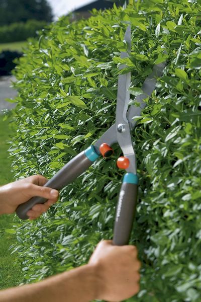 Gardena Classic 540 FSC pure heggenschaar gegalvaniseerd