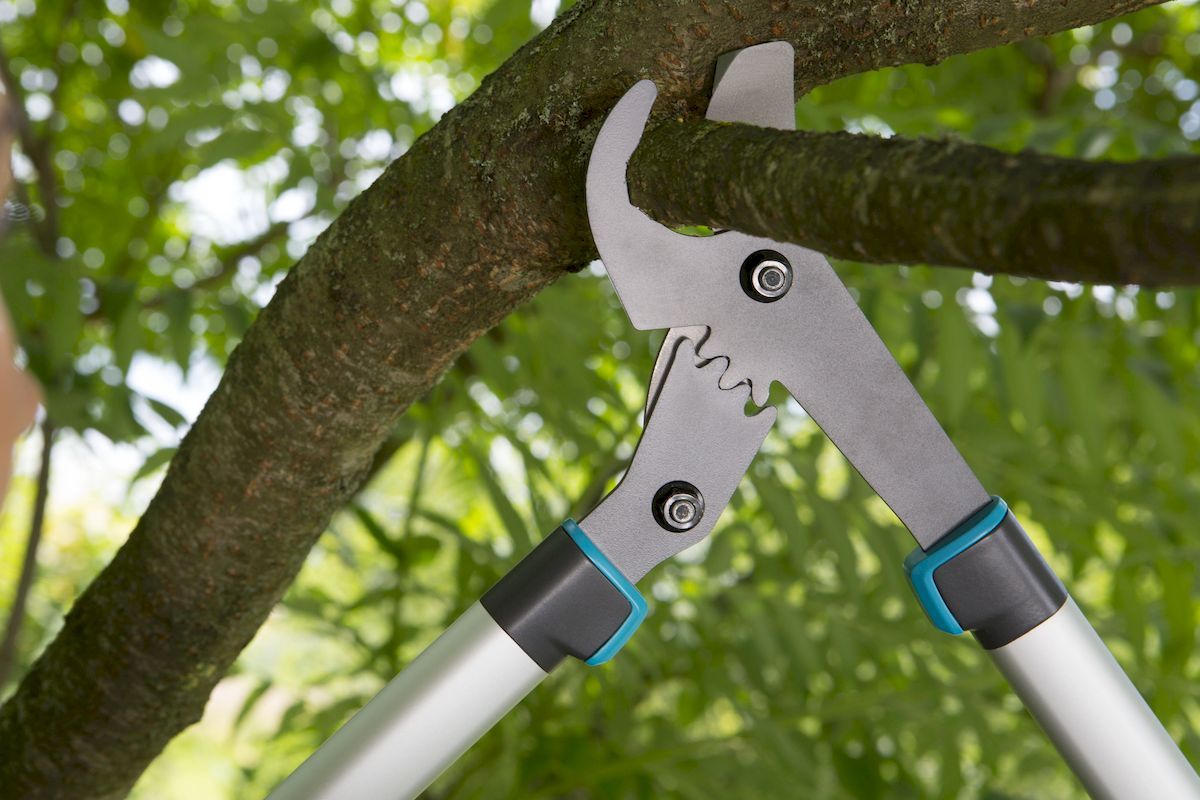 Gardena EnergyCut 600 B takkenschaar bypass