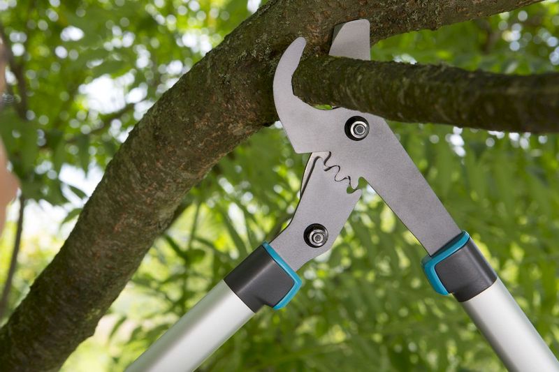 Gardena EnergyCut 600 B takkenschaar bypass