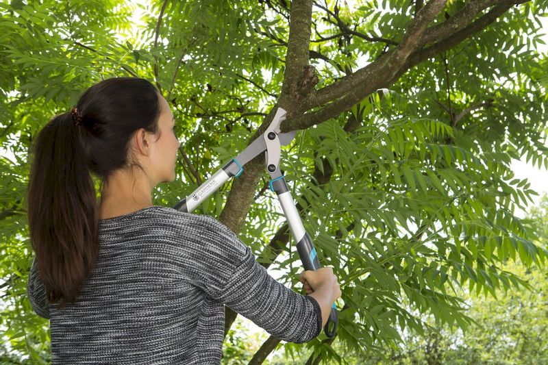 Gardena EnergyCut 600 B takkenschaar extra snoeikracht
