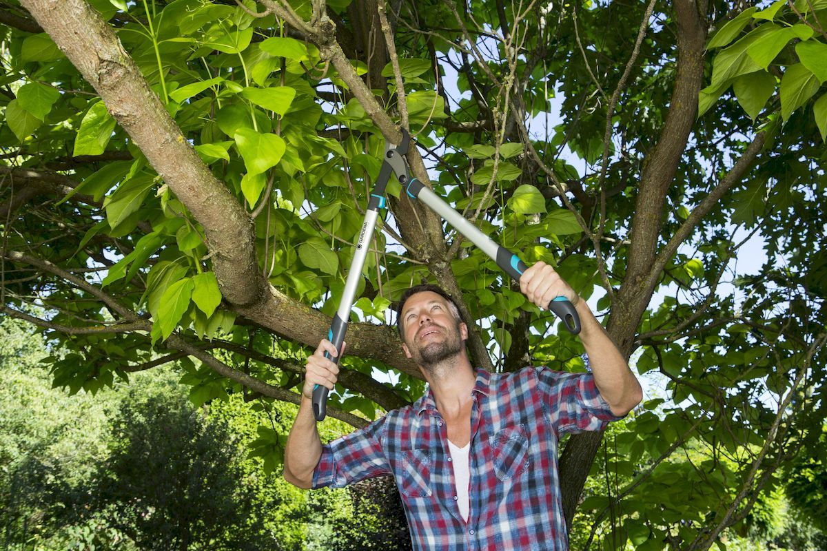 Gardena EnergyCut 750 B takkenschaar ergonomisch gevormde handgrepen