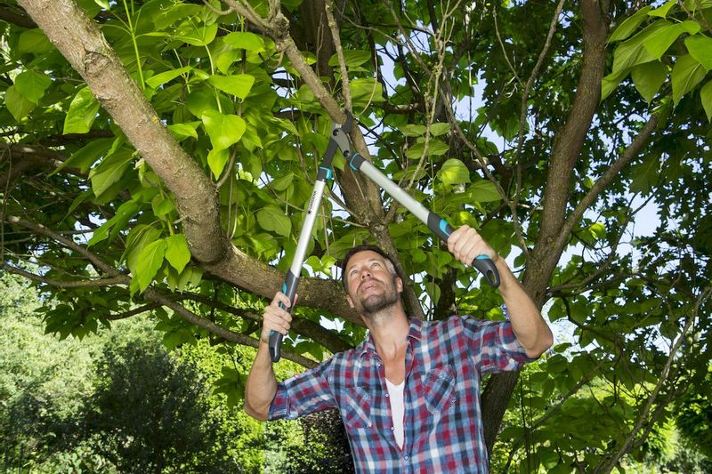 Gardena EnergyCut 750 B takkenschaar ergonomisch gevormde handgrepen