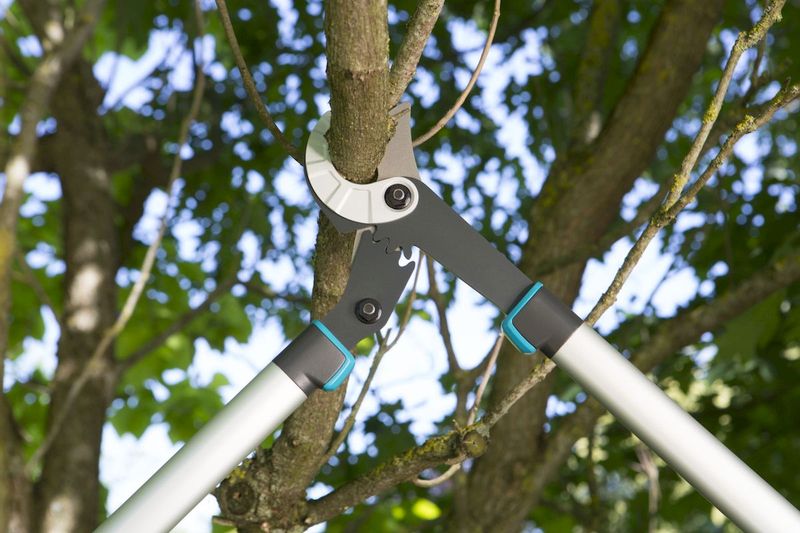 Gardena EnergyCut 750 A takkenschaar aambeeld