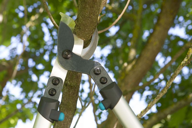 Gardena Premium 700 B takkenschaar bypass