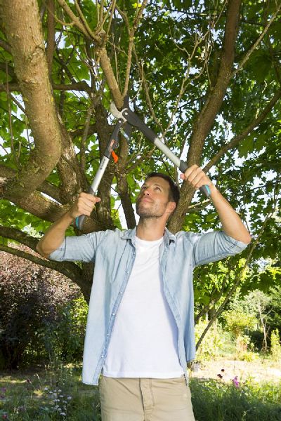 Gardena Comfort SmartCut hefboomtakkenschaar aambeeld